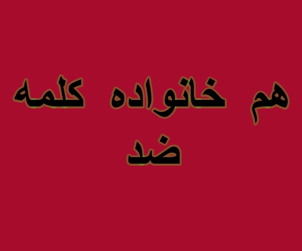 هم خانواده کلمه ضد