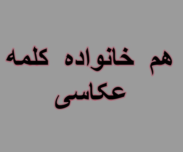 هم خانواده کلمه عکاسی