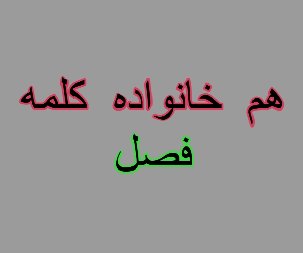 هم خانواده کلمه فصل