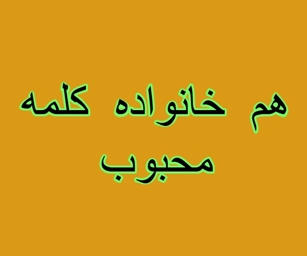 هم خانواده کلمه محبوب
