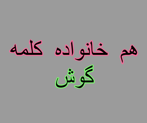 هم خانواده کلمه گوش