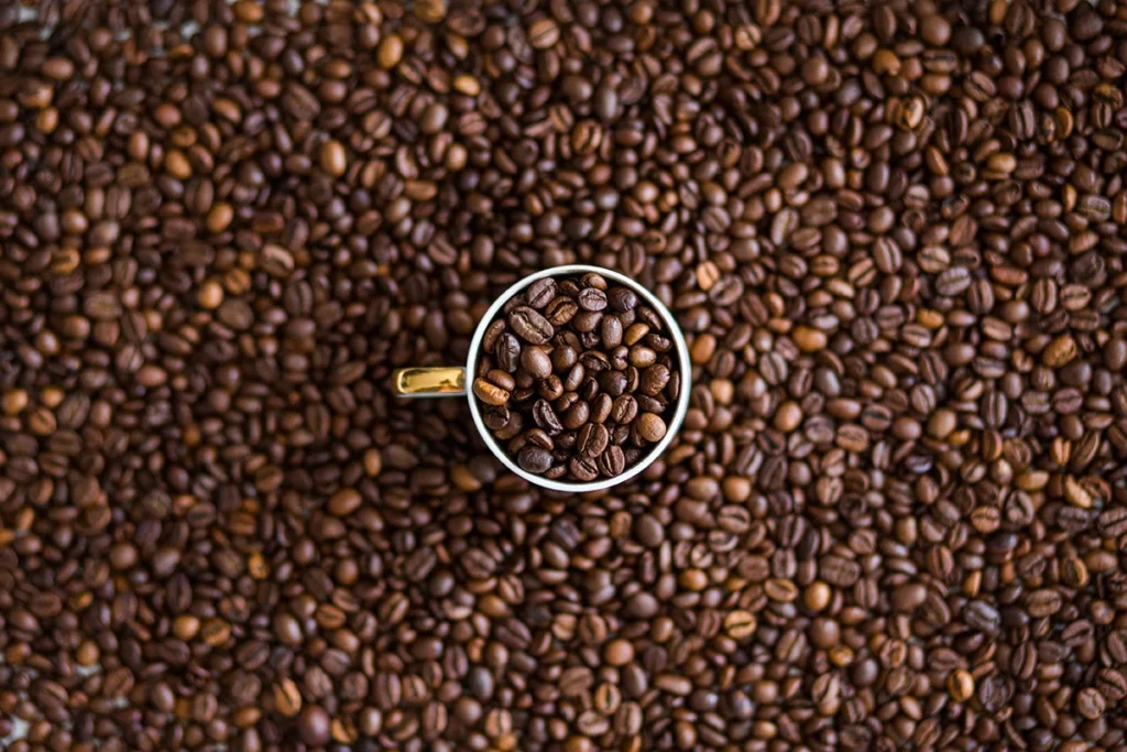 گربه در فال قهوه