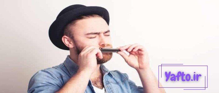 حقایق جالب درباره ساز دهنی