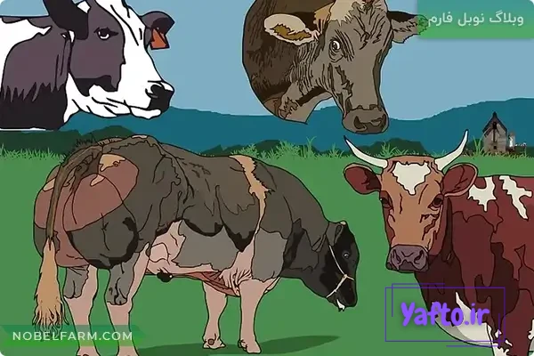 ایرون دات کام: بلاگ ها: یه مشت گاو علیه یه مشت خر ایرون دات کام: بلاگ ها: یه مشت گاو علیه یه مشت خر