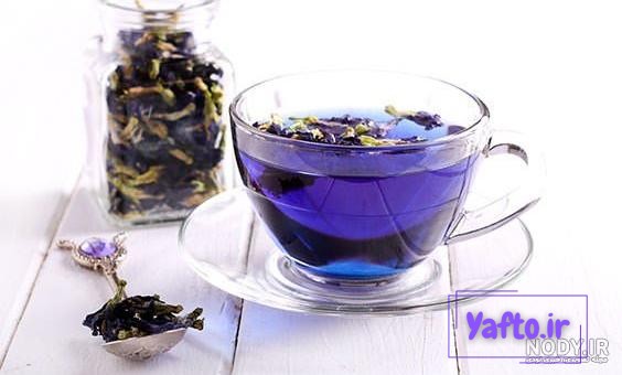 برداشت گل گاوزبان وحشی در ییلاقات استان گلستان برداشت گل گاوزبان وحشی در ییلاقات استان گلستان