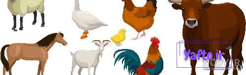 دانلود کاراکتر کارتونی گوسفند در دو حالت ساده و نقاشی شده ، مناسب برای کتاب رنگ دانلود کاراکتر کارتونی گوسفند در دو حالت ساده و نقاشی شده ، مناسب برای کتاب رنگ