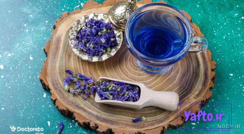 راهنمای کامل کاشت گل گاوزبان - بهترین مقالات کشاورزی | آموزش کشاورزی و باغبانی و گیاهان آپارتمانی راهنمای کامل کاشت گل گاوزبان - بهترین مقالات کشاورزی | آموزش کشاورزی و باغبانی و گیاهان آپارتمانی