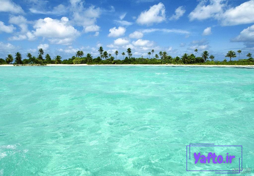 عکس طبیعت زیبا | عکس تصویر زمینه عکس طبیعت زیبا | عکس تصویر زمینه