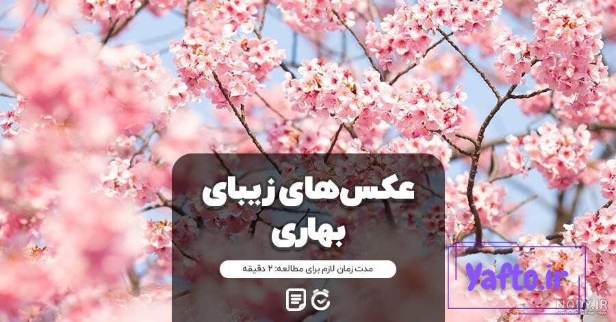 عکس پروفایل اسم بهار عکس پروفایل اسم بهار