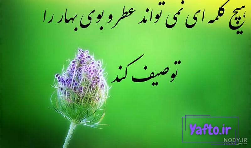 عکس پروفایل بهار 2023 | عکس بهار | عکس پروفایل طبیعت | عکس طبیعت بهاری | عکس پروفایل شیک عکس پروفایل بهار 2023 | عکس بهار | عکس پروفایل طبیعت | عکس طبیعت بهاری | عکس پروفایل شیک