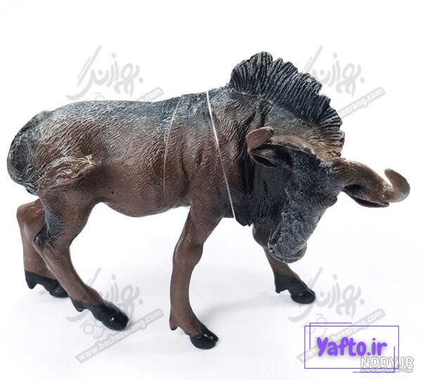 عکس گاو وحشی شاخ دار - عکس نودی عکس گاو وحشی شاخ دار - عکس نودی