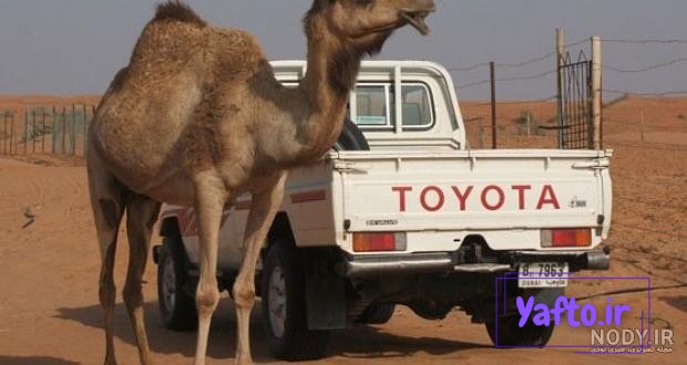 لیلی علوی »، « تاچر » و « مونیکا » خودروهای تند و تیزی که در خیابان های سودان و ایران جولان می دهند | اسب بخار | مرجع تخصصی اخبار و ویدیوی خودرو لیلی علوی »، « تاچر » و « مونیکا » خودروهای تند و تیزی که در خیابان های سودان و ایران جولان می دهند | اسب بخار | مرجع تخصصی اخبار و ویدیوی خودرو