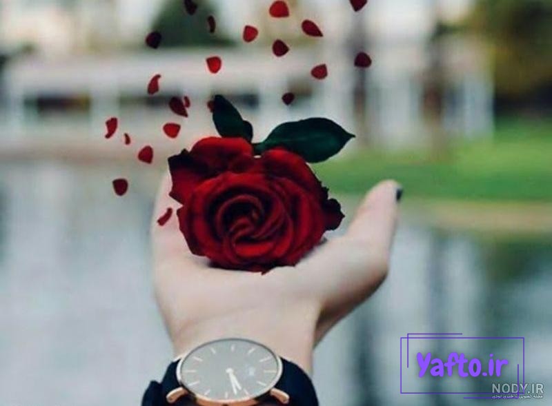 ۶۰ عکس پروفایل آسمان با منظره های بسیار زیبا و چشم نواز ۶۰ عکس پروفایل آسمان با منظره های بسیار زیبا و چشم نواز