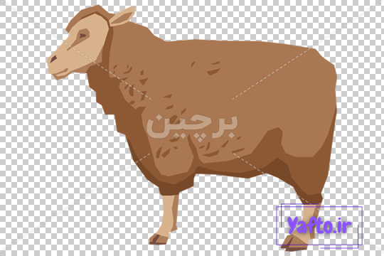 شوخی شوخی