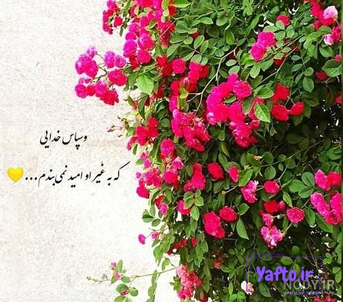 عکس پروفایل خدایا شکرت 2023 | خدایا شکرت برای نگاه پر مهرت | خدایا شکرت به  هزارویک دلیل
