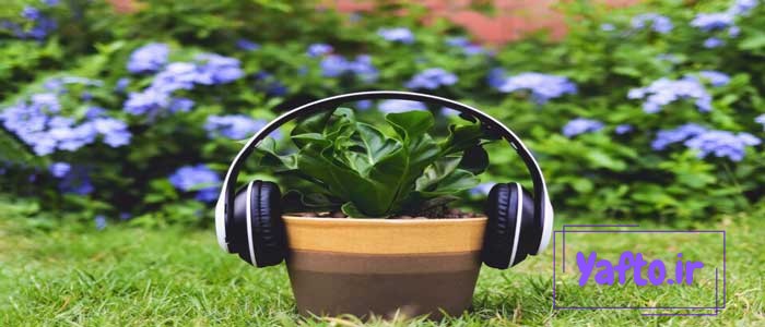 تاثیر موسیقی بر گیاهان در سبک های مختلف